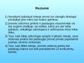 Marketingo planas: santechnikos darbai UAB "Santema" 13 puslapis