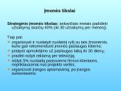 Marketingo planas: santechnikos darbai UAB "Santema" 9 puslapis