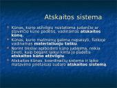 Mechaninio judėjimo samprata 3 puslapis