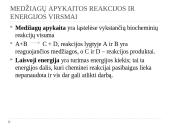 Medžiagų apykaitos reakcijos 2 puslapis