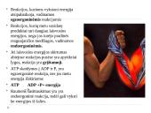 Medžiagų apykaitos reakcijos 3 puslapis