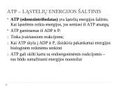 Medžiagų apykaitos reakcijos 4 puslapis