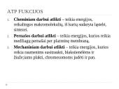 Medžiagų apykaitos reakcijos 5 puslapis