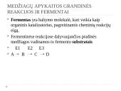 Medžiagų apykaitos reakcijos 7 puslapis