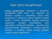 Mejozė ir lytinis dauginimasis 2 puslapis