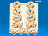 Mejozė ir lytinis dauginimasis 19 puslapis