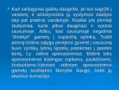 Mejozė ir lytinis dauginimasis 5 puslapis