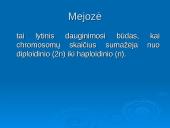 Mejozė ir lytinis dauginimasis 7 puslapis