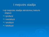 Mejozė ir lytinis dauginimasis 8 puslapis