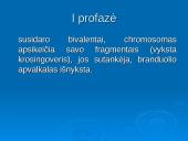 Mejozė ir lytinis dauginimasis 9 puslapis