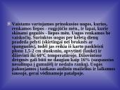 Mėlynių uogų gydomosios savybės 13 puslapis