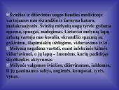 Mėlynių uogų gydomosios savybės 15 puslapis