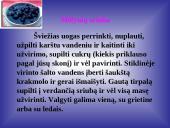 Mėlynių uogų gydomosios savybės 17 puslapis