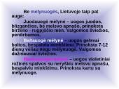 Mėlynių uogų gydomosios savybės 4 puslapis