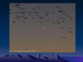 Mėnulis - vienintelis Žemės palydovas 7 puslapis