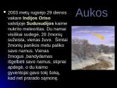 Meteorai. Meteoritai. Meteoroidai 16 puslapis