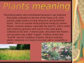 Midsummer Day 4 puslapis