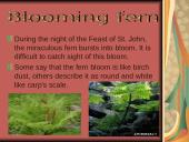 Midsummer Day 7 puslapis