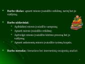 Miesto įvaizdžio reikšmė, turinys, jo valdymas 3 puslapis