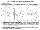 Pagrindinės mikroekonomikos temos 14 puslapis