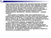 Mikroetikos problemos versle 11 puslapis