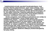 Mikroetikos problemos versle 16 puslapis