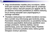 Mikroetikos problemos versle 19 puslapis