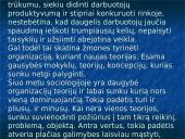 Moderniosios organizacijų teorijos 2 puslapis