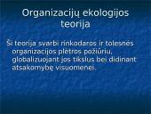 Moderniosios organizacijų teorijos 13 puslapis