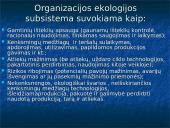 Moderniosios organizacijų teorijos 14 puslapis