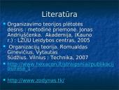 Moderniosios organizacijų teorijos 17 puslapis