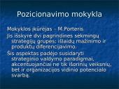 Moderniosios organizacijų teorijos 10 puslapis