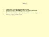 Modernusis menas 2 puslapis