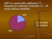 Mokinių mitybos apžvalga 2 puslapis