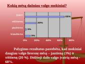 Mokinių mitybos apžvalga 13 puslapis