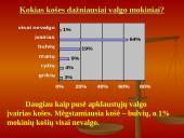 Mokinių mitybos apžvalga 16 puslapis