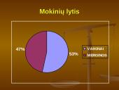 Mokinių mitybos apžvalga 3 puslapis