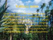 Monako geografinė padėtis 10 puslapis