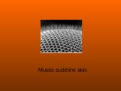 Musės kūno dalys, nauda 7 puslapis