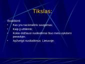 Nacionalinis saugumas ir nusikalstamumo prevencija 3 puslapis