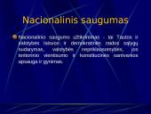 Nacionalinis saugumas ir nusikalstamumo prevencija 6 puslapis