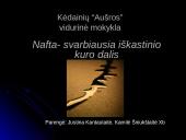 Nafta — svarbiausia iškastinio kuro dalis