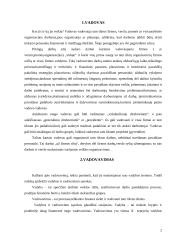 Vadovo darbų organizavimas 2 puslapis