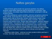 Naftos pramonė 9 puslapis