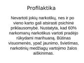 Narkomanijos priežastys, simptomai bei gydymas 13 puslapis