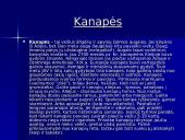 Narkotikai, narkomanai, narkotikų sukeliamos ligos 12 puslapis