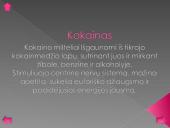 Narkotikų poveikis centrinei nervų sistemai 15 puslapis