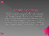 Narkotikų poveikis centrinei nervų sistemai 16 puslapis