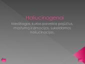 Narkotikų poveikis centrinei nervų sistemai 3 puslapis