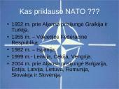 NATO aljansas 11 puslapis